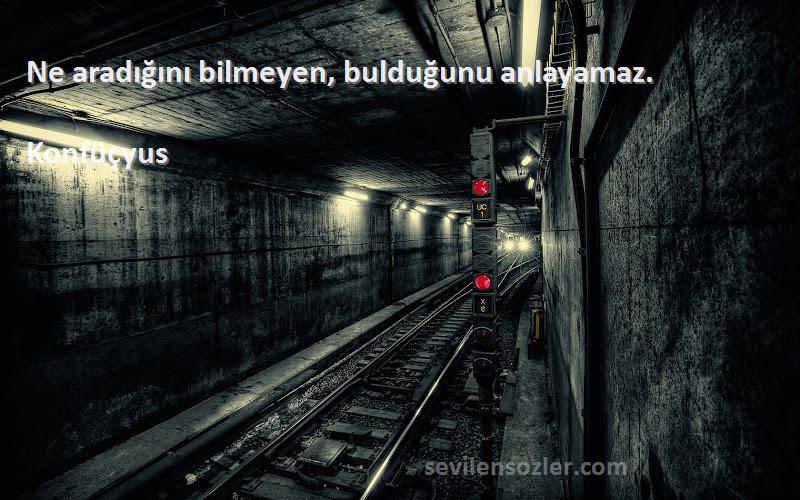 Konfüçyus - Ne aradığını bilmeyen, bulduğunu anlayamaz.