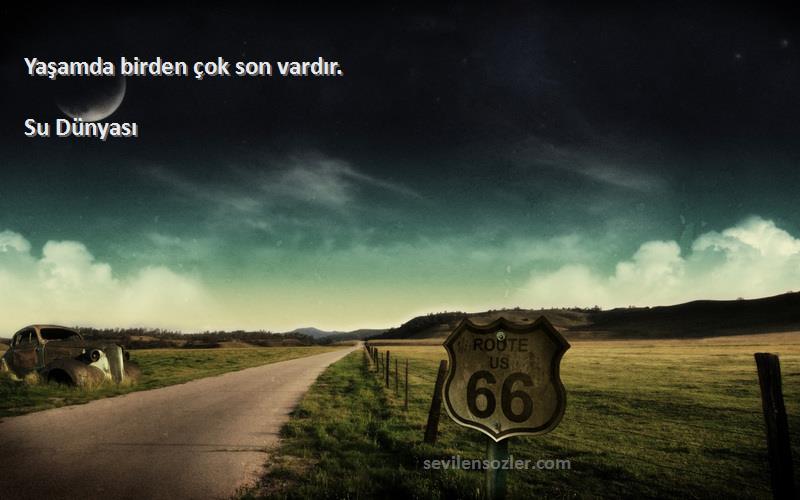 Su Dünyası - Yaşamda birden çok son vardır.