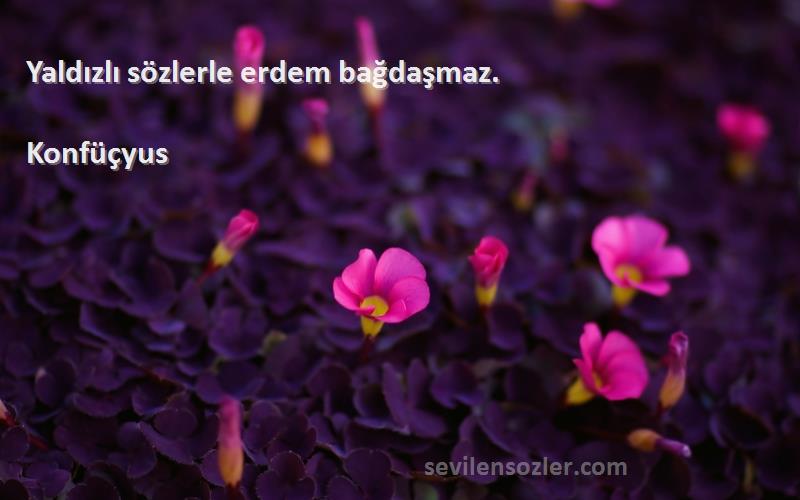 Konfüçyus - Yaldızlı sözlerle erdem bağdaşmaz.