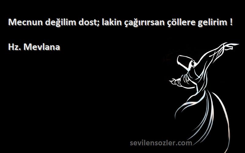 Hz. Mevlana - Mecnun değilim dost; lakin çağırırsan çöllere gelirim !