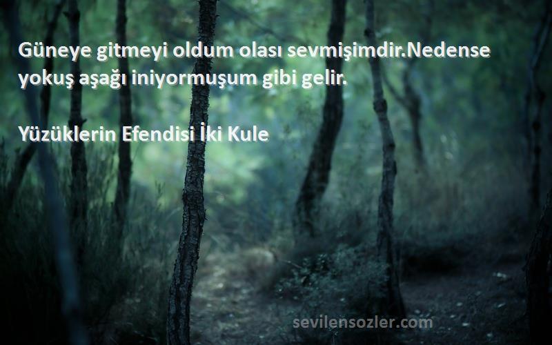 Yüzüklerin Efendisi İki Kule - Güneye gitmeyi oldum olası sevmişimdir.Nedense yokuş aşağı iniyormuşum gibi gelir.