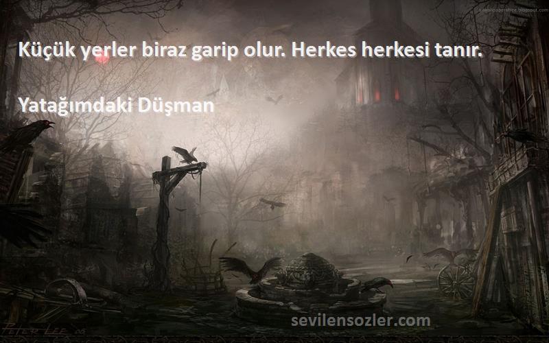 Yatağımdaki Düşman - Küçük yerler biraz garip olur. Herkes herkesi tanır.