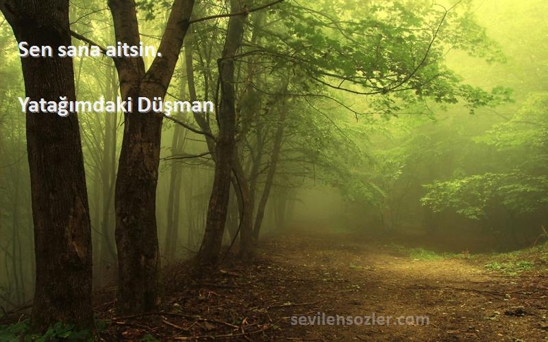 Yatağımdaki Düşman - Sen sana aitsin.