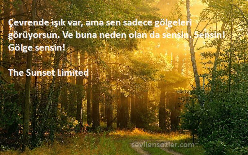 The Sunset Limited Sözleri 
Çevrende ışık var, ama sen sadece gölgeleri görüyorsun. Ve buna neden olan da sensin. Sensin! Gölge sensin!