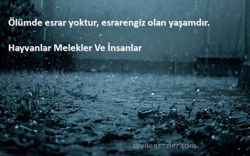 Hayvanlar Melekler Ve İnsanlar - Ölümde esrar yoktur, esrarengiz olan yaşamdır.
