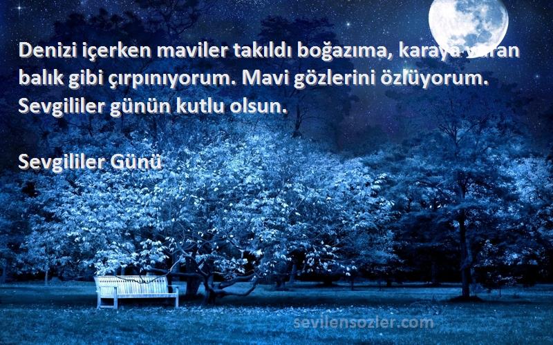 Sevgililer Günü Sözleri 
Denizi içerken maviler takıldı boğazıma, karaya vuran balık gibi çırpınıyorum. Mavi gözlerini özlüyorum. Sevgililer günün kutlu olsun.