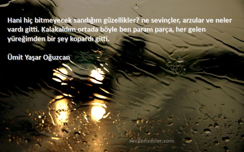 Ümit Yaşar Oğuzcan Sözleri 
Hani hiç bitmeyecek sandığım güzellikler? ne sevinçler, arzular ve neler vardı gitti. Kalakaldım ortada böyle ben param parça, her gelen yüreğimden bir şey kopardı gitti.