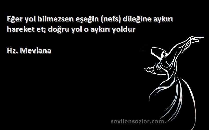 Hz. Mevlana - Eğer yol bilmezsen eşeğin (nefs) dileğine aykırı hareket et; doğru yol o aykırı yoldur