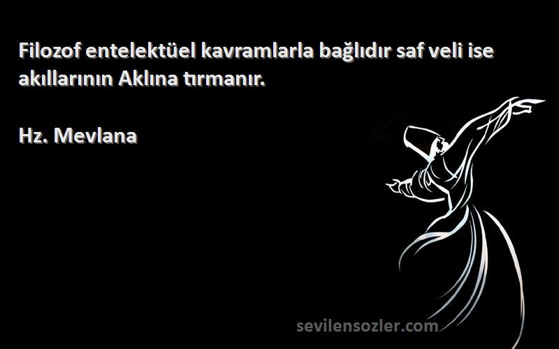 Hz. Mevlana - Filozof entelektüel kavramlarla bağlıdır saf veli ise akıllarının Aklına tırmanır.
