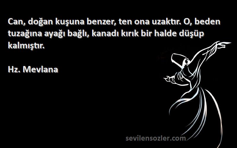 Hz. Mevlana Sözleri 
Can, doğan kuşuna benzer, ten ona uzaktır. O, beden tuzağına ayağı bağlı, kanadı kırık bir halde düşüp kalmıştır.