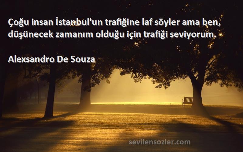 Alexsandro De Souza Sözleri 

Çoğu insan İstanbul'un trafiğine laf söyler ama ben, düşünecek zamanım olduğu için trafiği seviyorum.   