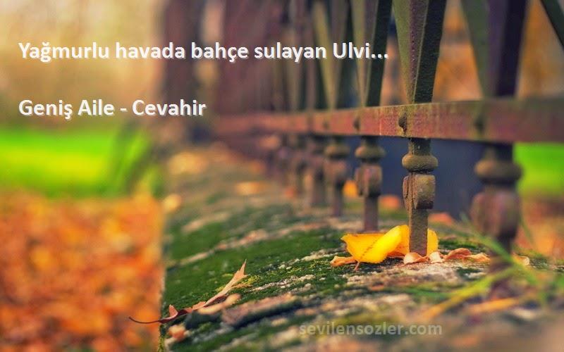 Geniş Aile - Cevahir Sözleri 
Yağmurlu havada bahçe sulayan Ulvi...
