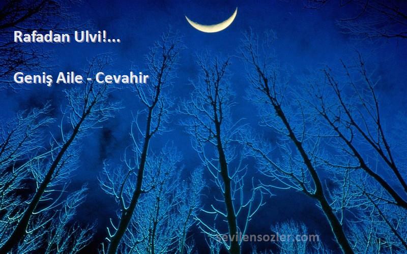 Geniş Aile - Cevahir - Rafadan Ulvi!... 
