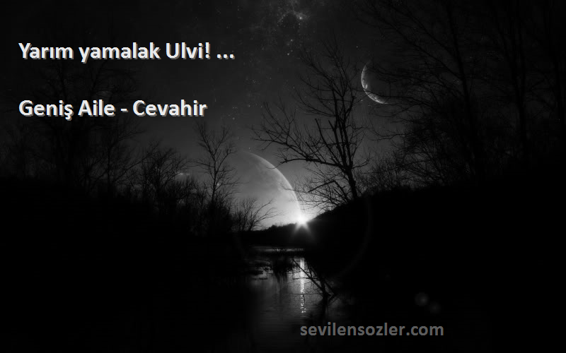 Geniş Aile - Cevahir - Yarım yamalak Ulvi! ...
