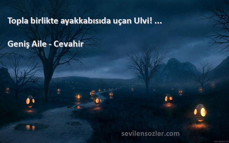 Geniş Aile - Cevahir - Topla birlikte ayakkabısıda uçan Ulvi! ...
