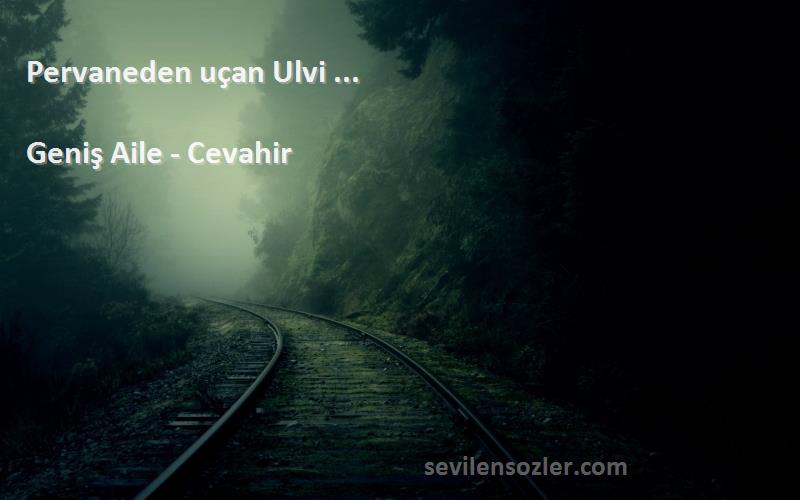 Geniş Aile - Cevahir - Pervaneden uçan Ulvi ... 
