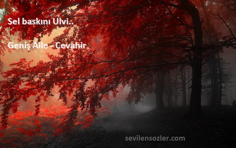 Geniş Aile - Cevahir - Sel baskını Ulvi.. 
