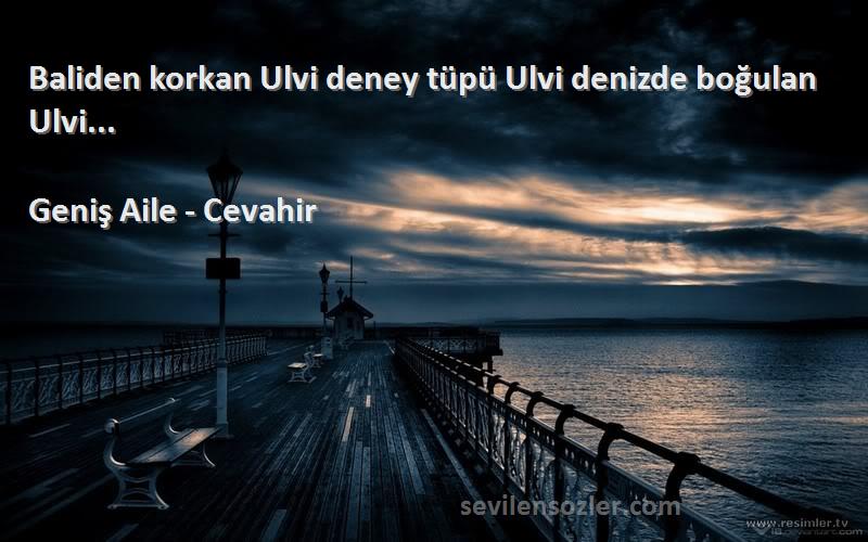 Geniş Aile - Cevahir Sözleri 
Baliden korkan Ulvi deney tüpü Ulvi denizde boğulan Ulvi... 
