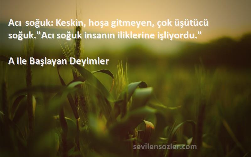 A ile Başlayan Deyimler Sözleri 
Acı soğuk: Keskin, hoşa gitmeyen, çok üşütücü soğuk.Acı soğuk insanın iliklerine işliyordu.