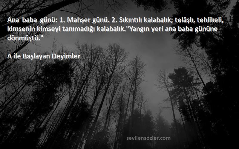A ile Başlayan Deyimler Sözleri 
Ana baba günü: 1. Mahşer günü. 2. Sıkıntılı kalabalık; telâşlı, tehlikeli, kimsenin kimseyi tanımadığı kalabalık.Yangın yeri ana baba gününe dönmüştü.