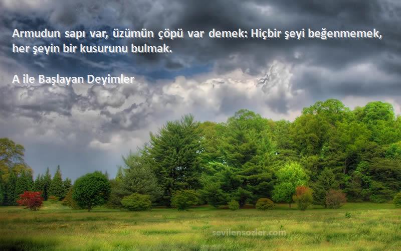 A ile Başlayan Deyimler - Armudun sapı var, üzümün çöpü var demek: Hiçbir şeyi beğenmemek, her şeyin bir kusurunu bulmak.