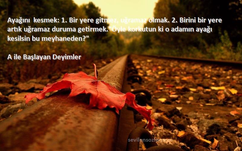 A ile Başlayan Deyimler Sözleri 
Ayağını kesmek: 1. Bir yere gitmez, uğramaz olmak. 2. Birini bir yere artık uğramaz duruma getirmek.Öyle korkutun ki o adamın ayağı kesilsin bu meyhaneden?