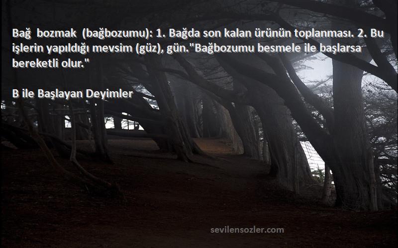 B ile Başlayan Deyimler Sözleri 
Bağ bozmak (bağbozumu): 1. Bağda son kalan ürünün toplanması. 2. Bu işlerin yapıldığı mevsim (güz), gün.Bağbozumu besmele ile başlarsa bereketli olur.