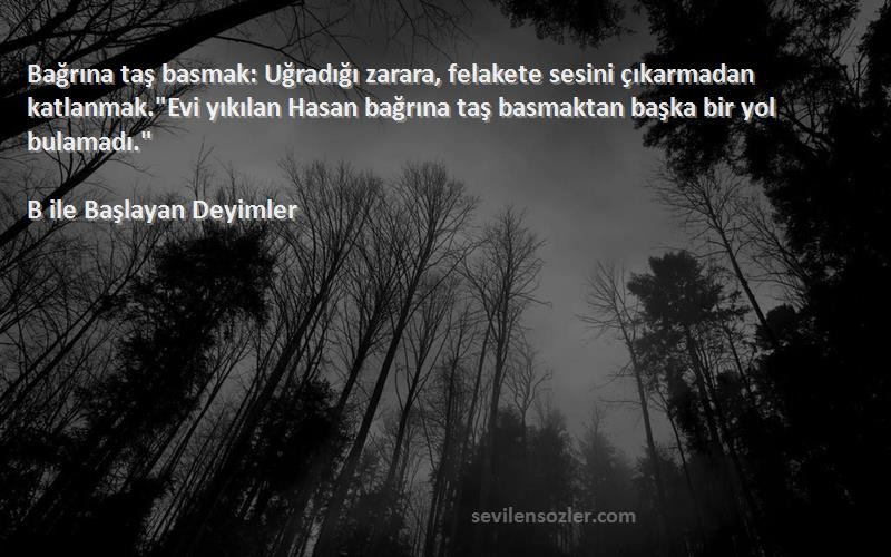 B ile Başlayan Deyimler Sözleri 
Bağrına taş basmak: Uğradığı zarara, felakete sesini çıkarmadan katlanmak.Evi yıkılan Hasan bağrına taş basmaktan başka bir yol bulamadı.