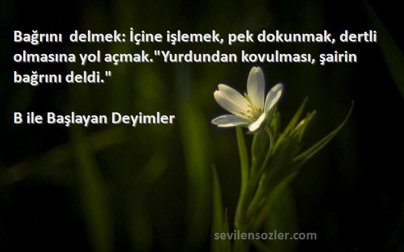 B ile Başlayan Deyimler Sözleri 
Bağrını delmek: İçine işlemek, pek dokunmak, dertli olmasına yol açmak.Yurdundan kovulması, şairin bağrını deldi.