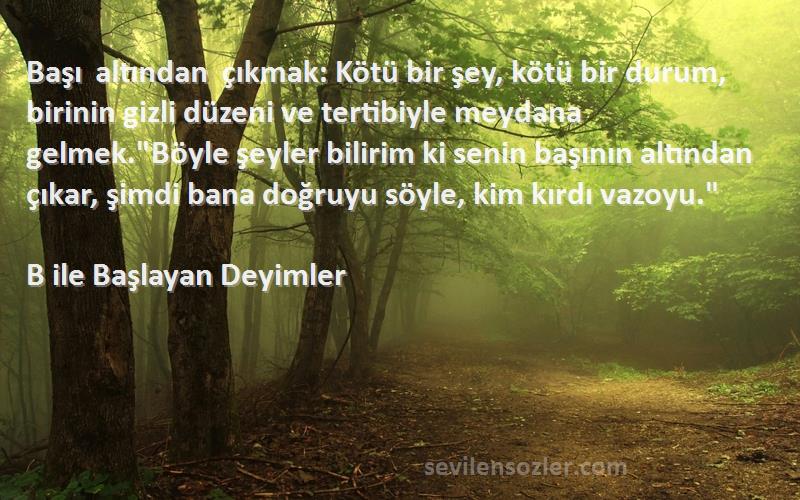 B ile Başlayan Deyimler Sözleri 
Başı altından çıkmak: Kötü bir şey, kötü bir durum, birinin gizli düzeni ve tertibiyle meydana gelmek.Böyle şeyler bilirim ki senin başının altından çıkar, şimdi bana doğruyu söyle, kim kırdı vazoyu.