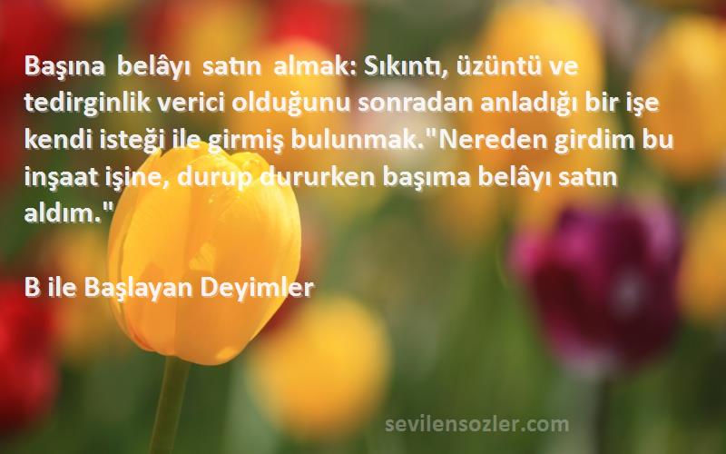 B ile Başlayan Deyimler Sözleri 
Başına belâyı satın almak: Sıkıntı, üzüntü ve tedirginlik verici olduğunu sonradan anladığı bir işe kendi isteği ile girmiş bulunmak.Nereden girdim bu inşaat işine, durup dururken başıma belâyı satın aldım.