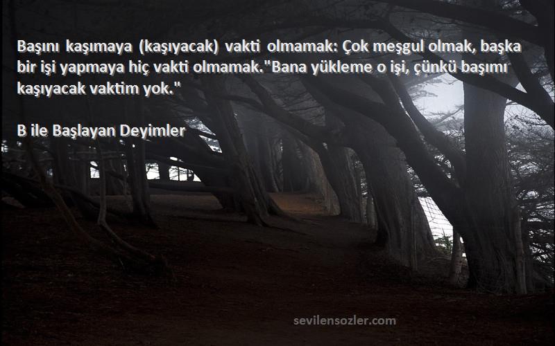 B ile Başlayan Deyimler Sözleri 
Başını kaşımaya (kaşıyacak) vakti olmamak: Çok meşgul olmak, başka bir işi yapmaya hiç vakti olmamak.Bana yükleme o işi, çünkü başımı kaşıyacak vaktim yok.