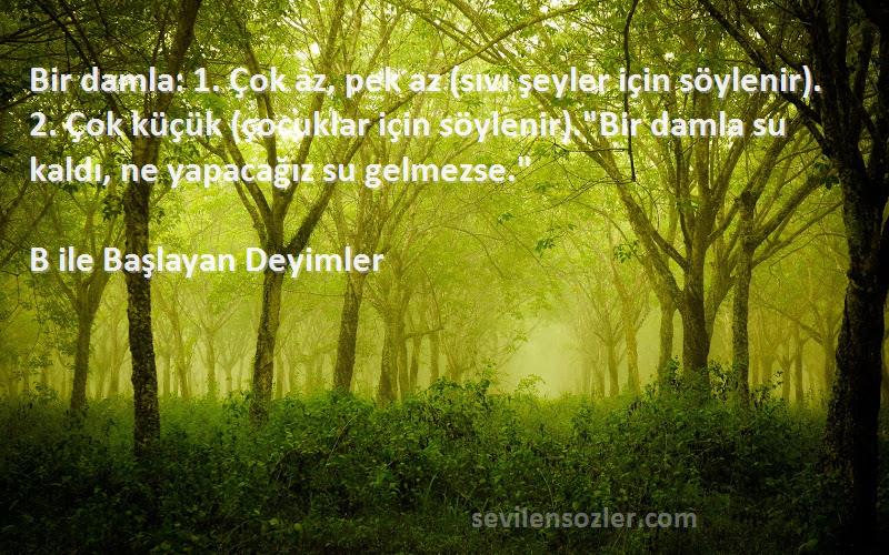 B ile Başlayan Deyimler Sözleri 
Bir damla: 1. Çok az, pek az (sıvı şeyler için söylenir). 2. Çok küçük (çocuklar için söylenir).Bir damla su kaldı, ne yapacağız su gelmezse.