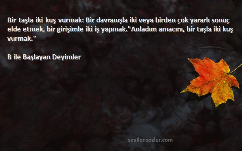 B ile Başlayan Deyimler Sözleri 
Bir taşla iki kuş vurmak: Bir davranışla iki veya birden çok yararlı sonuç elde etmek, bir girişimle iki iş yapmak.Anladım amacını, bir taşla iki kuş vurmak.