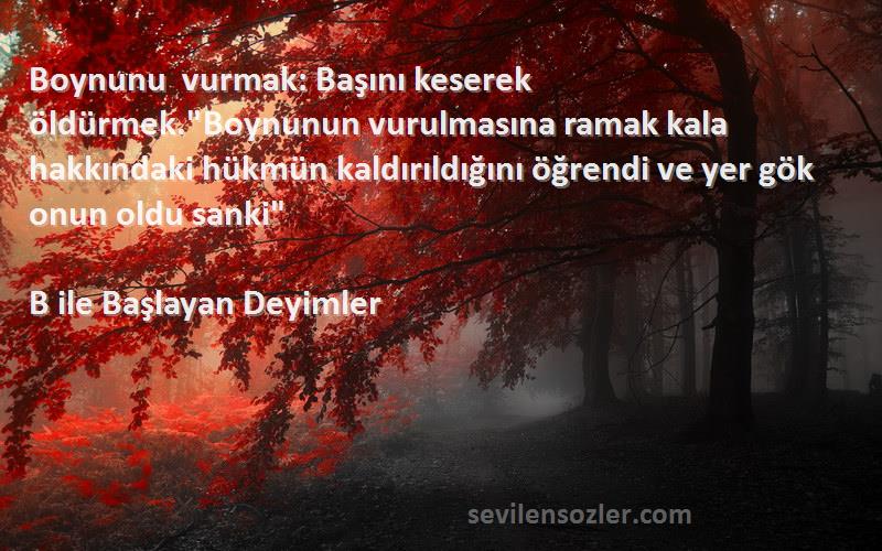 B ile Başlayan Deyimler Sözleri 
Boynunu vurmak: Başını keserek öldürmek.Boynunun vurulmasına ramak kala hakkındaki hükmün kaldırıldığını öğrendi ve yer gök onun oldu sanki