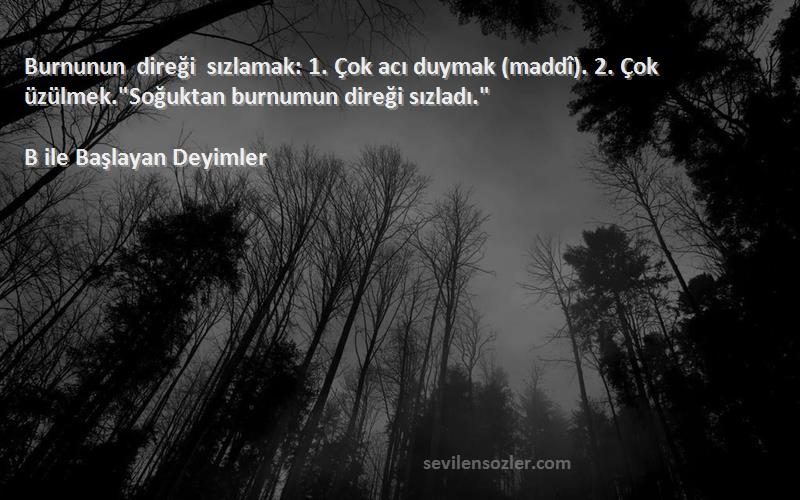 B ile Başlayan Deyimler Sözleri 
Burnunun direği sızlamak: 1. Çok acı duymak (maddî). 2. Çok üzülmek.Soğuktan burnumun direği sızladı.