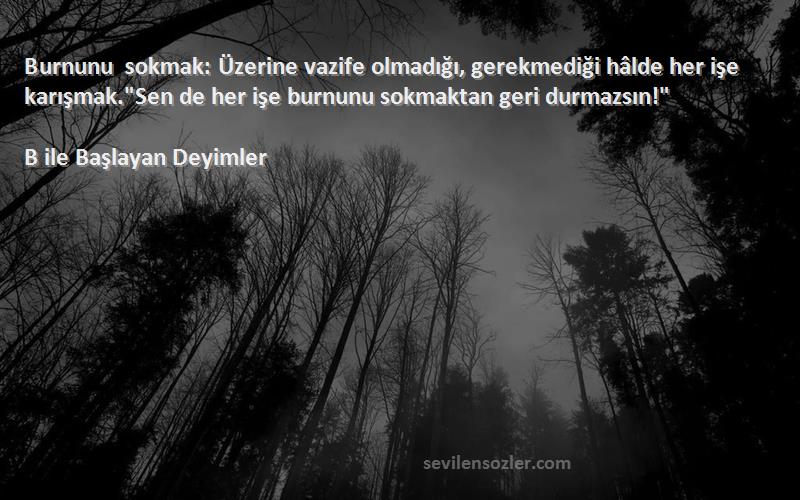 B ile Başlayan Deyimler Sözleri 
Burnunu sokmak: Üzerine vazife olmadığı, gerekmediği hâlde her işe karışmak.Sen de her işe burnunu sokmaktan geri durmazsın!