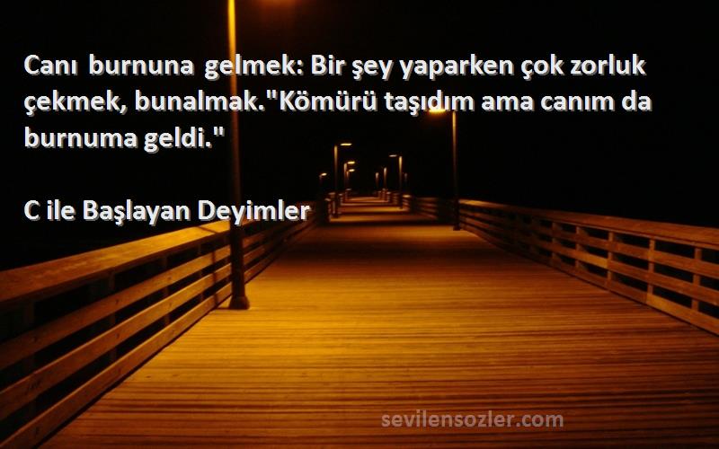 C ile Başlayan Deyimler Sözleri 
Canı burnuna gelmek: Bir şey yaparken çok zorluk çekmek, bunalmak.Kömürü taşıdım ama canım da burnuma geldi.