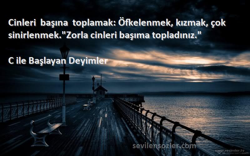 C ile Başlayan Deyimler Sözleri 
Cinleri başına toplamak: Öfkelenmek, kızmak, çok sinirlenmek.Zorla cinleri başıma topladınız.