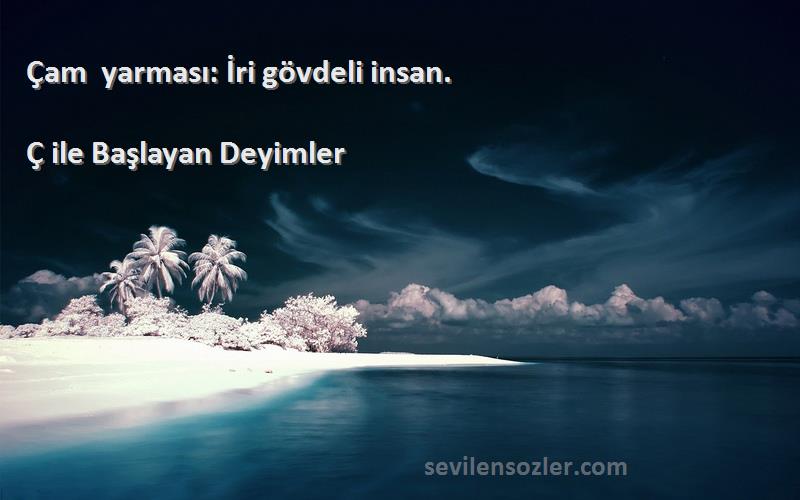 Ç ile Başlayan Deyimler Sözleri 
Çam yarması: İri gövdeli insan.