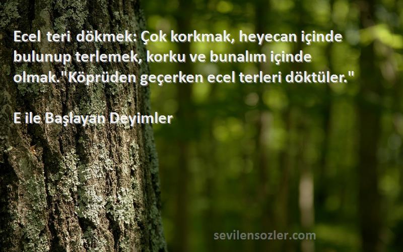 E ile Başlayan Deyimler Sözleri 
Ecel teri dökmek: Çok korkmak, heyecan içinde bulunup terlemek, korku ve bunalım içinde olmak.Köprüden geçerken ecel terleri döktüler.