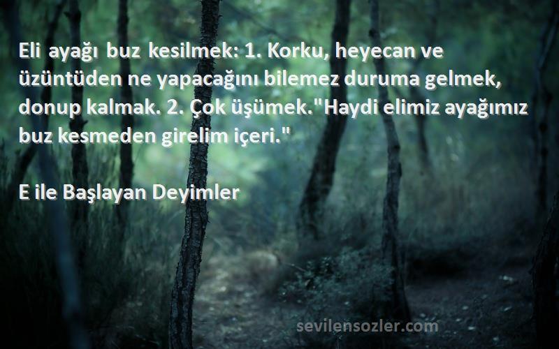 E ile Başlayan Deyimler Sözleri 
Eli ayağı buz kesilmek: 1. Korku, heyecan ve üzüntüden ne yapacağını bilemez duruma gelmek, donup kalmak. 2. Çok üşümek.Haydi elimiz ayağımız buz kesmeden girelim içeri.