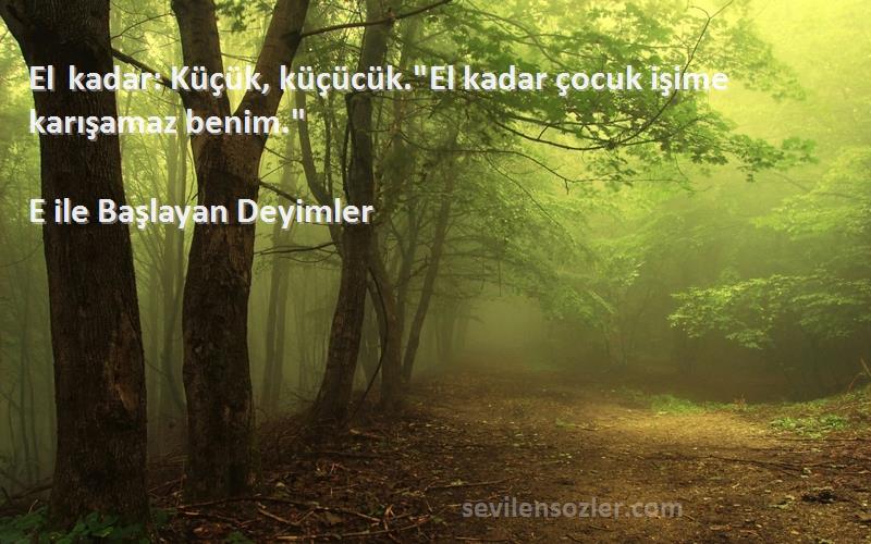 E ile Başlayan Deyimler - El kadar: Küçük, küçücük.El kadar çocuk işime karışamaz benim.