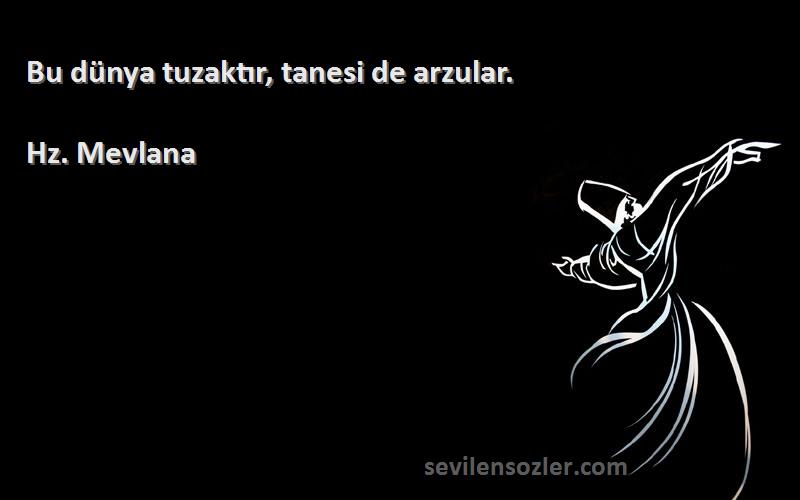 Hz. Mevlana - Bu dünya tuzaktır, tanesi de arzular.