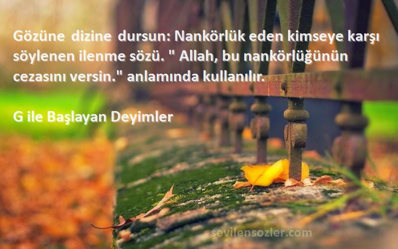 G ile Başlayan Deyimler Sözleri 
Gözüne dizine dursun: Nankörlük eden kimseye karşı söylenen ilenme sözü.  Allah, bu nankörlüğünün cezasını versin. anlamında kullanılır.