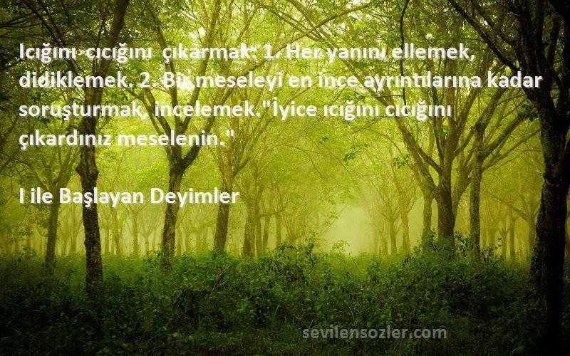 I ile Başlayan Deyimler Sözleri 
Icığını cıcığını çıkarmak: 1. Her yanını ellemek, didiklemek. 2. Bir meseleyi en ince ayrıntılarına kadar soruşturmak, incelemek.İyice ıcığını cıcığını çıkardınız meselenin.