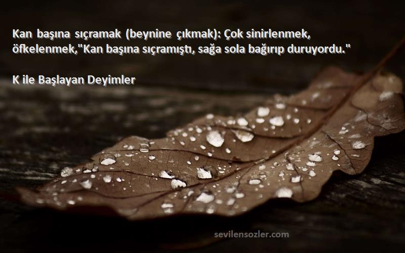 K ile Başlayan Deyimler Sözleri 
Kan başına sıçramak (beynine çıkmak): Çok sinirlenmek, öfkelenmek,Kan başına sıçramıştı, sağa sola bağırıp duruyordu.