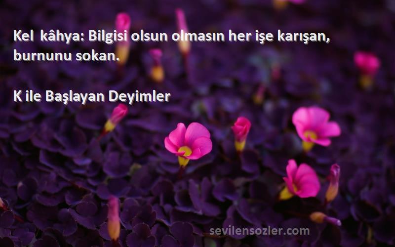 K ile Başlayan Deyimler - Kel kâhya: Bilgisi olsun olmasın her işe karışan, burnunu sokan.
