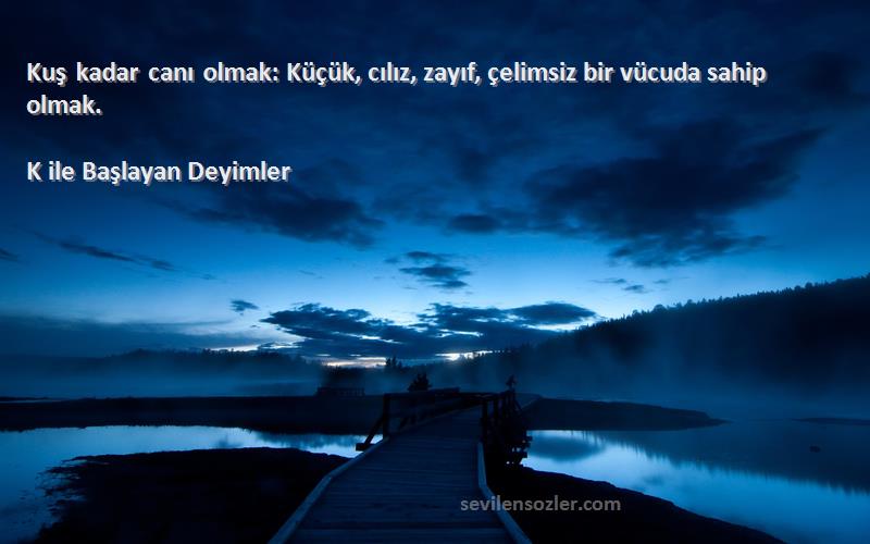 K ile Başlayan Deyimler - Kuş kadar canı olmak: Küçük, cılız, zayıf, çelimsiz bir vücuda sahip olmak.