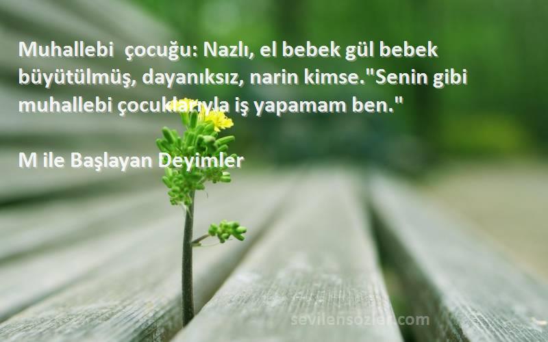 M ile Başlayan Deyimler Sözleri 
Muhallebi çocuğu: Nazlı, el bebek gül bebek büyütülmüş, dayanıksız, narin kimse.Senin gibi muhallebi çocuklarıyla iş yapamam ben.